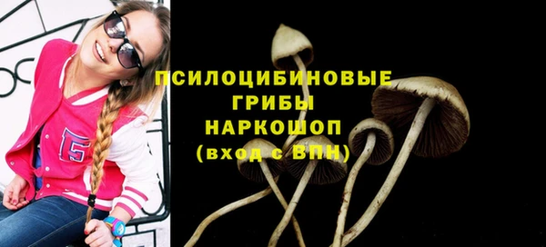 бутират Лагань