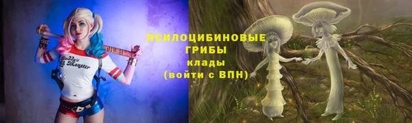 PSILOCYBIN Лабытнанги