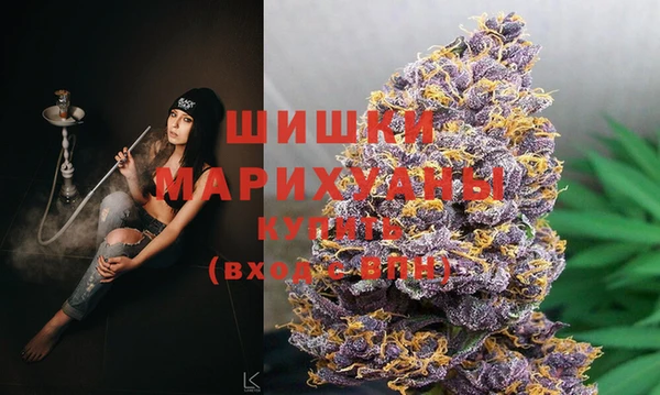 PSILOCYBIN Лабытнанги