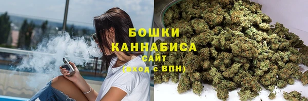 PSILOCYBIN Лабытнанги